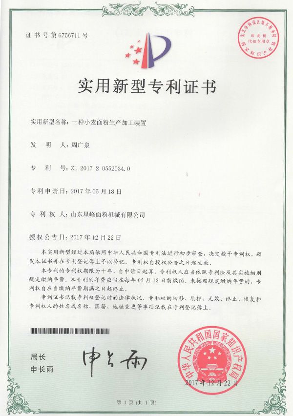 Patent