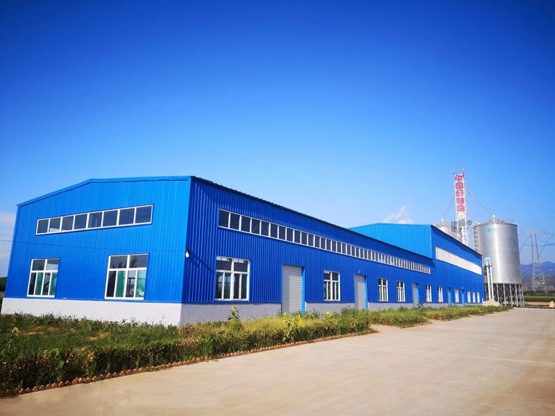 100TPD Wheat Flour Mill Plant