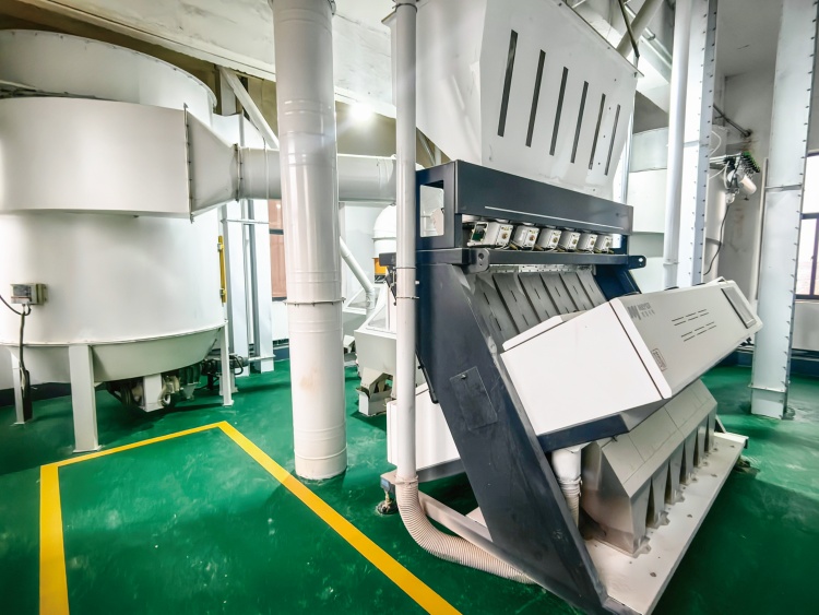 150TPD Wheat Flour Mill Plant