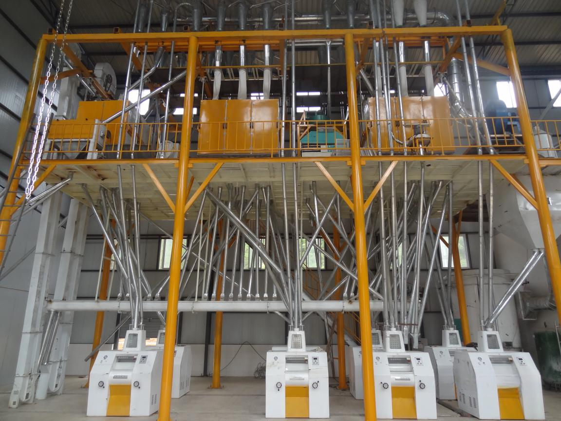 100TPD Wheat Flour Mill Plant