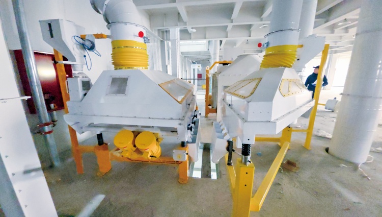 300TPD Maize Flour Mill Plant
