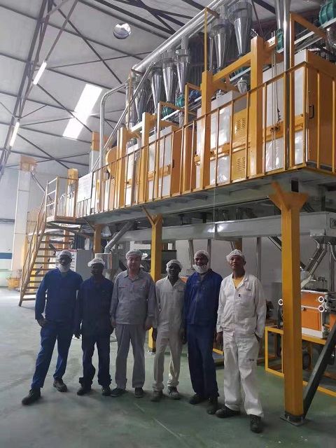 30-40TPD Maize Flour Mill Plant